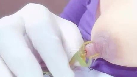 Mantis feeds on nipple - ThisVid.com