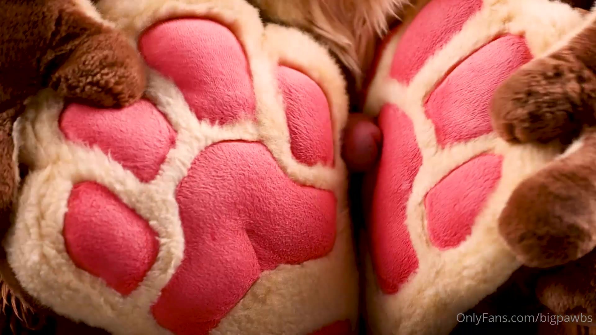 1920px x 1080px - Male furry cums using paws - ThisVid.com