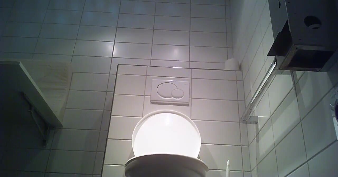 Spying toilet
