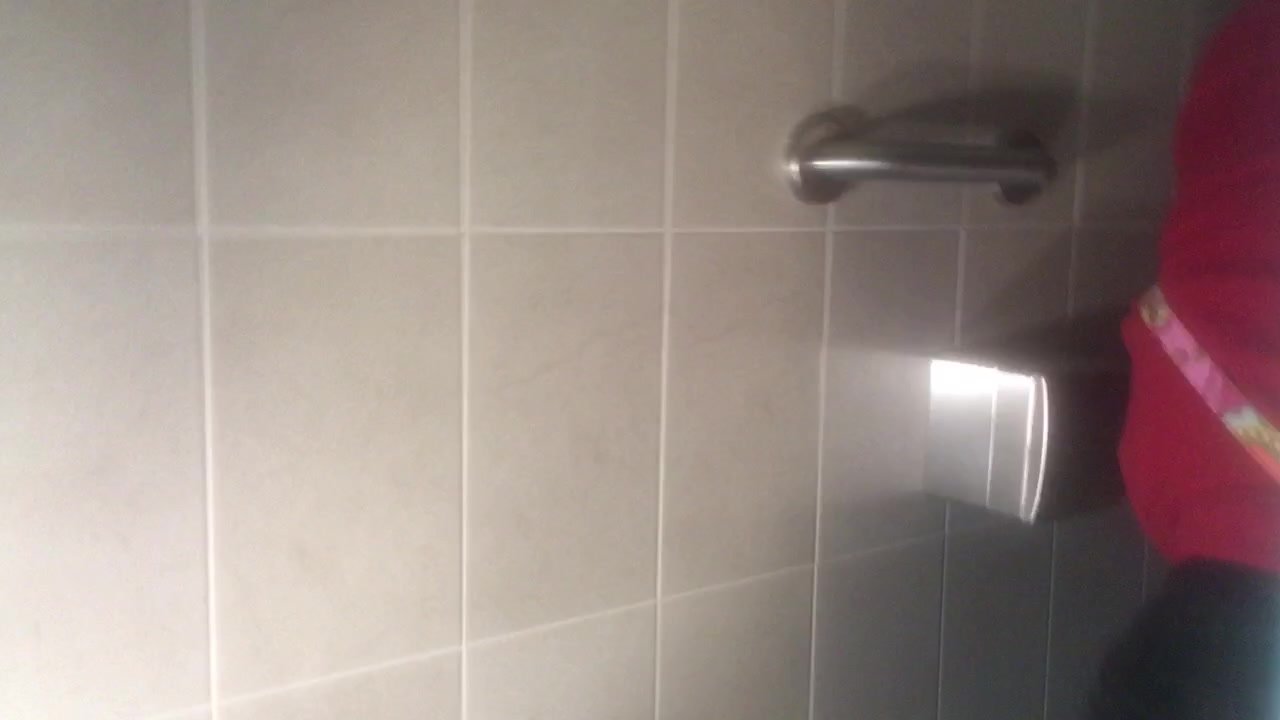 Carnival cruise ship 2017 toilet spy - ThisVid.com