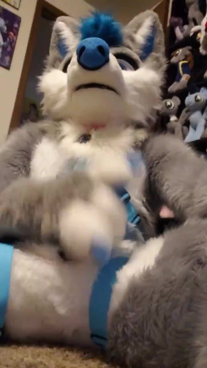 Murrsuit porn