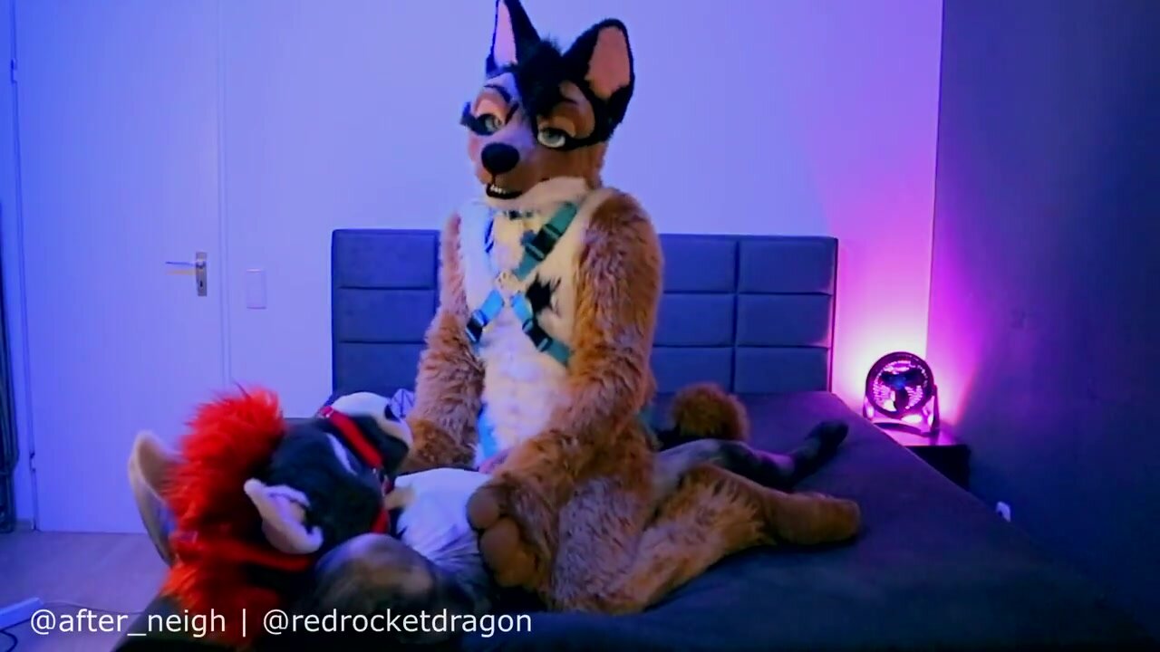 Fursuit sex - video 28 - ThisVid.com