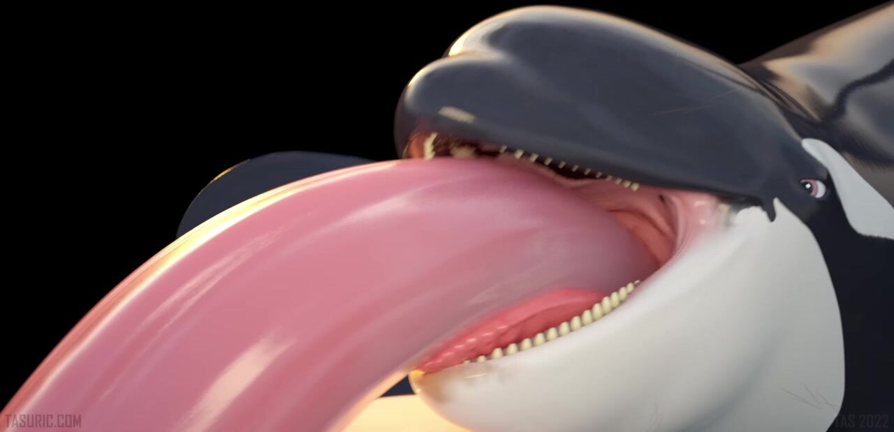 Animal sucks cock