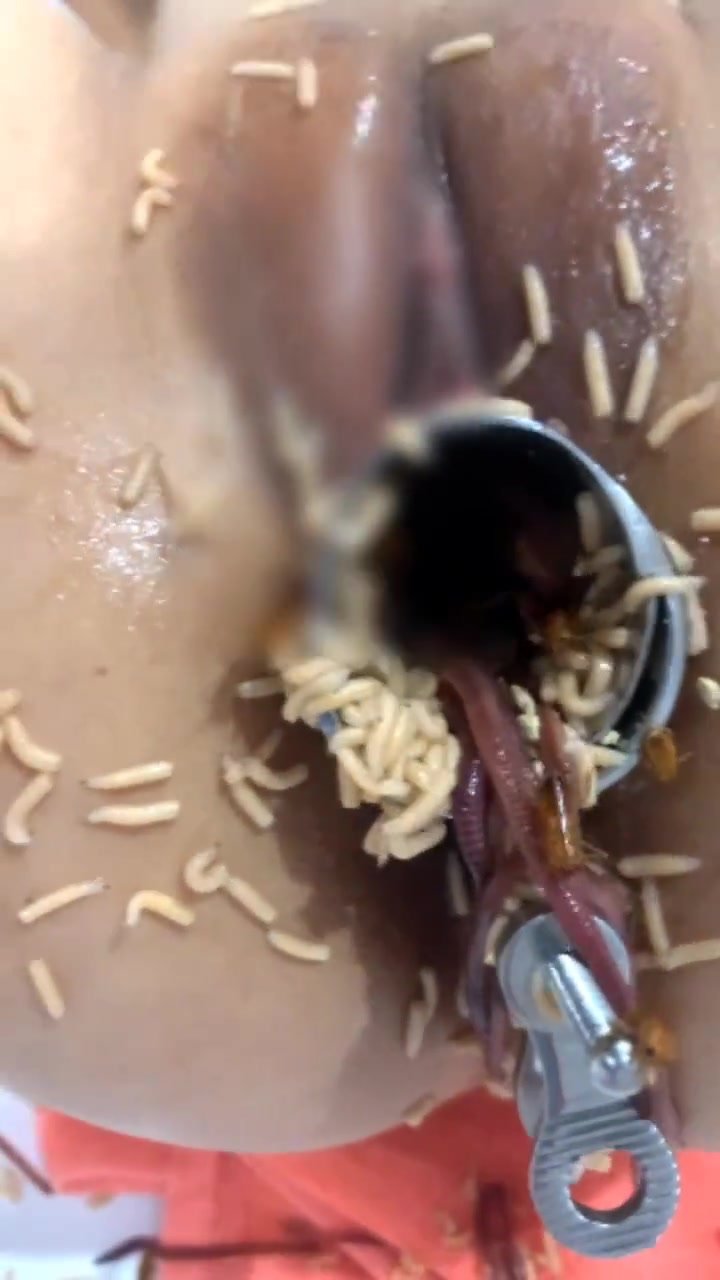 Insect Pussy Insertion - Worms and bugs in pussy - ThisVid.com