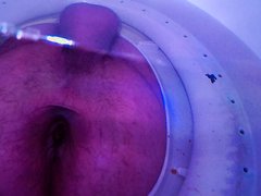 Life Inside My Toilet 4