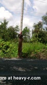 Men naked is tied in pole - ThisVid.com em inglês