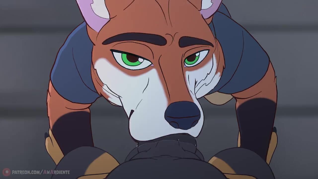 Gay animated animal porn