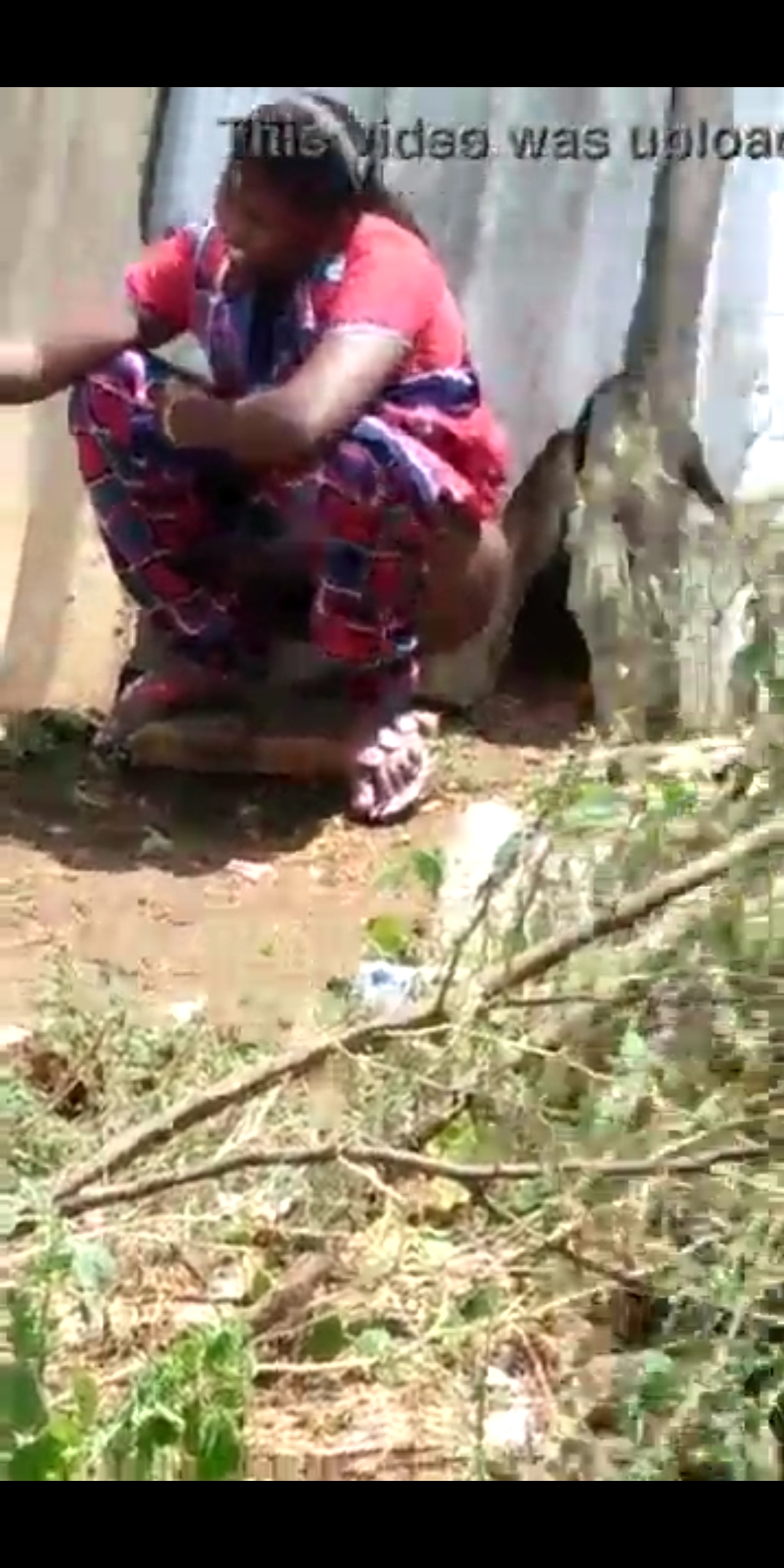 Vilage Women Piss In Outdour - Desi girl outside pee capture hidden - ThisVid.com