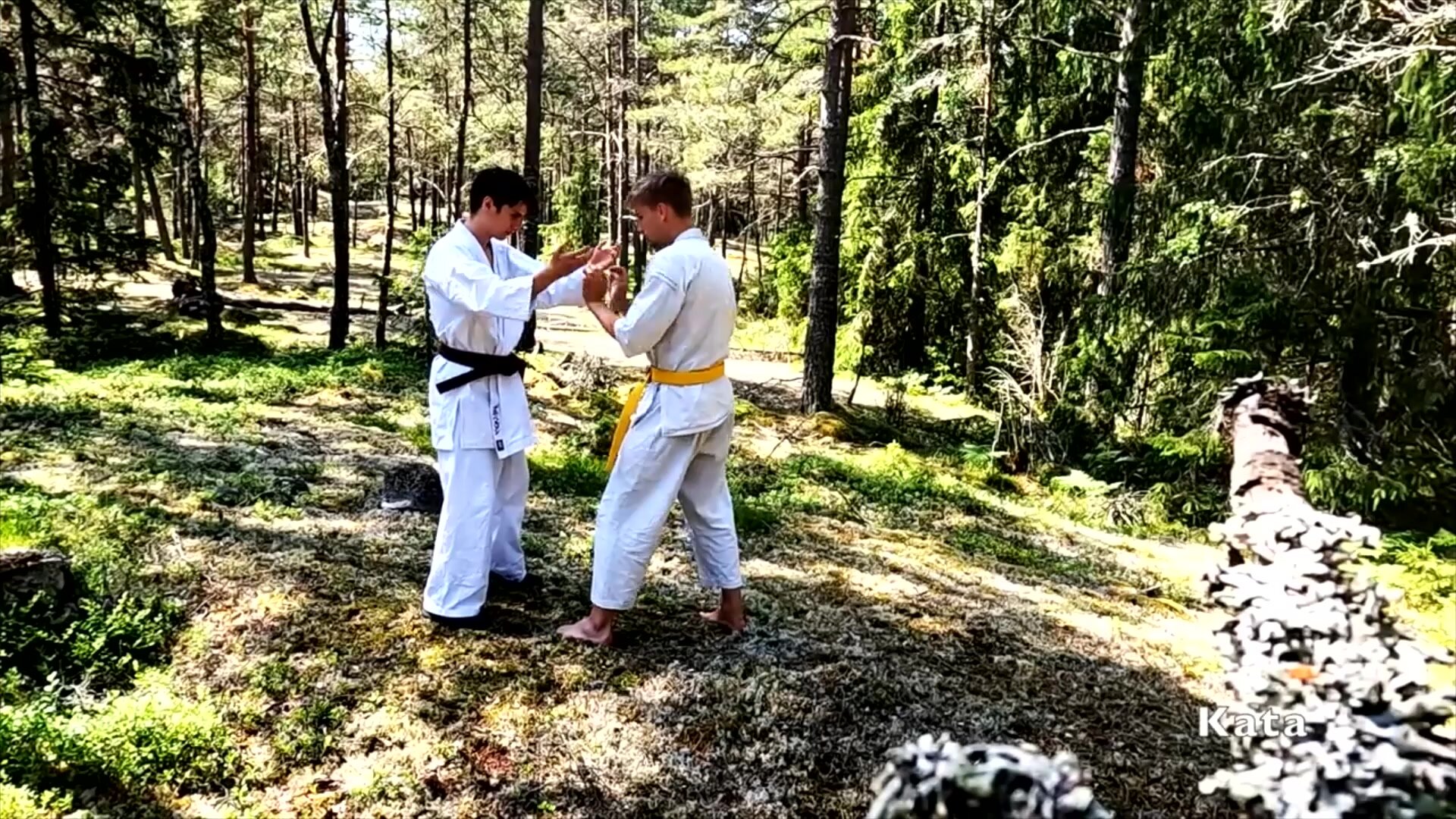 Asian White Gay Karate Porn - Rugged Forest Karate - ThisVid.com