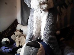 Fursuit pissing in bed