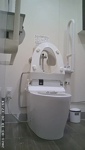 Toilet Japan - ThisVid.com