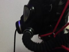 GIMP ISOLATION