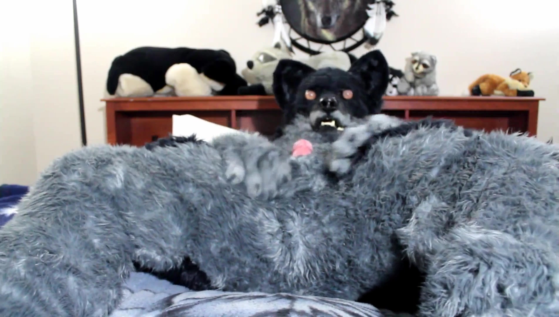 Hot Fursuit Porn - Swiftpaw Fursuit Wetting and Scat Smearing (Furry Scat & Watersports) -  ThisVid.com