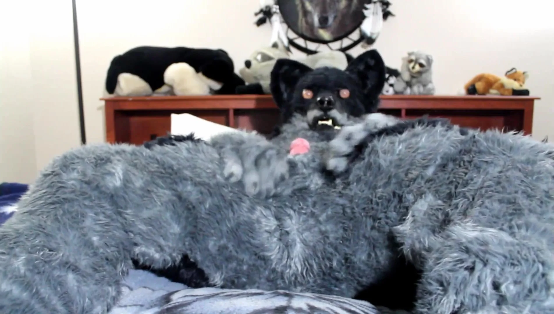 Swiftpaw Fursuit Wetting and Scat Smearing (Furry Scat ...