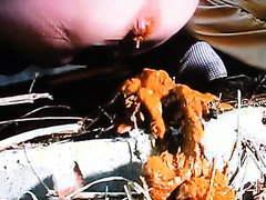 Outdoor poop diarrhea video3