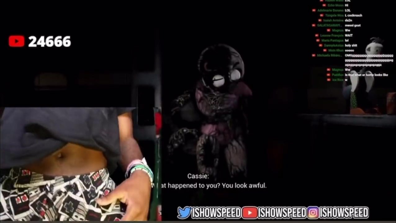 Ishowspeed flashing his dick