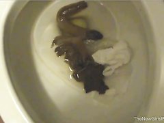 a very hot sausage on the toilet