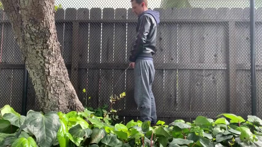 PISSING IN THE PARK