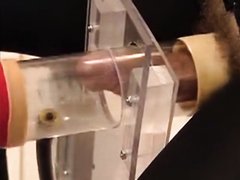 MILKING - video 2