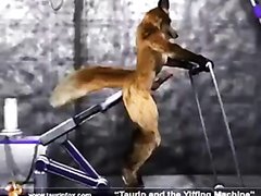 Taurin And The Yiffing Machine
