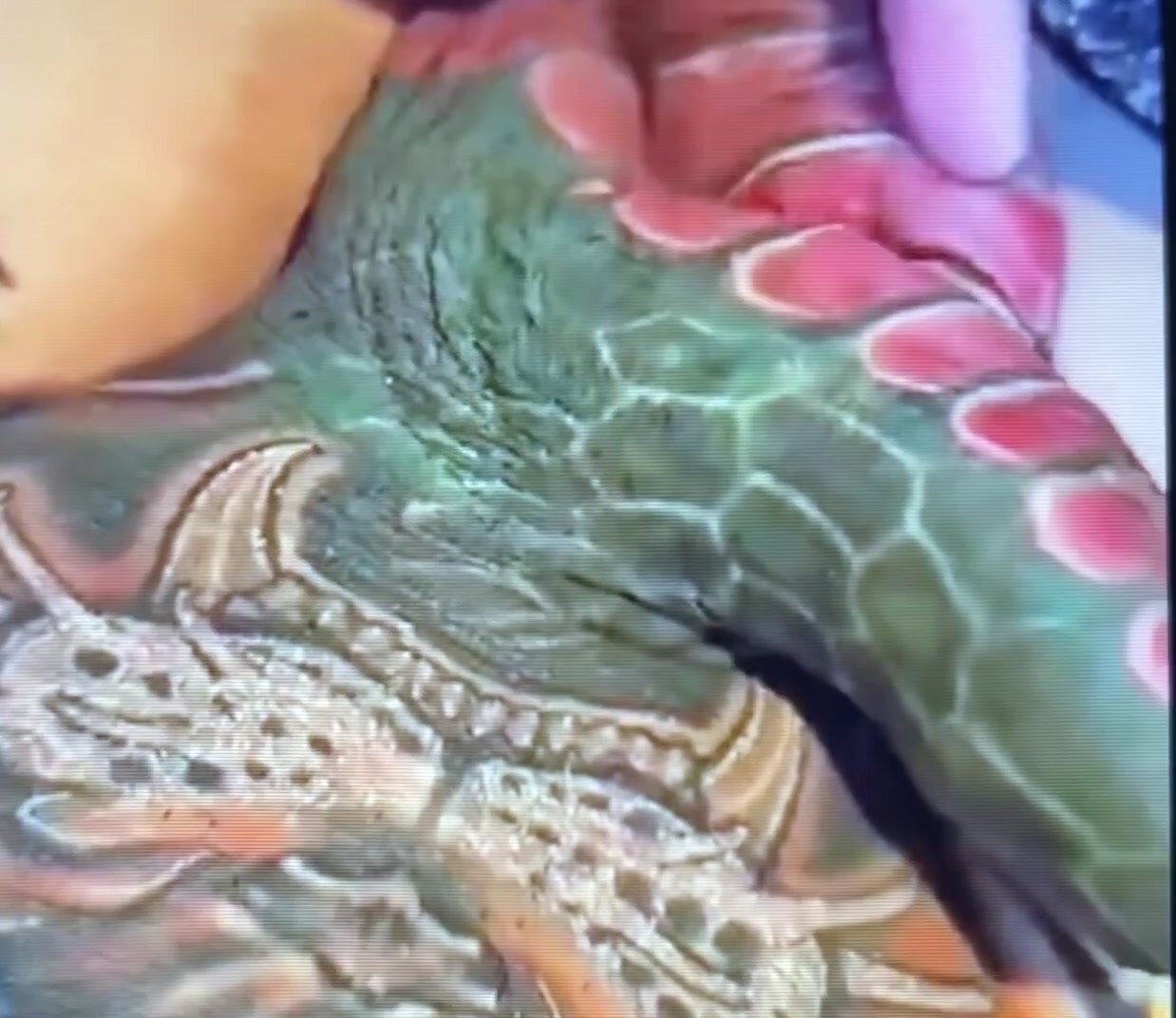 Stunning cock tattoo! Credit :markospontes . - ThisVid.com