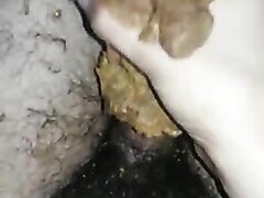 Jerking with a turd / punheta com merda