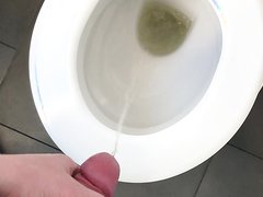 Piss At A Service Area