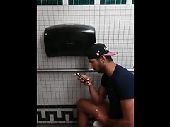 wc publics