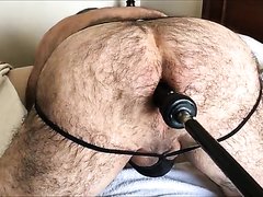 Hairy bears ass & fuck machine