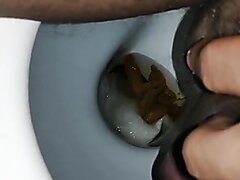Piis and scat
