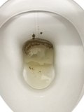Took a dump on someone else`s