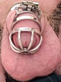 My chastity cages