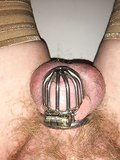 My chastity cages