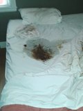 Dirty Bed