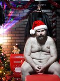 Daddy Bear in Christmas attire