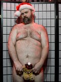Daddy Bear in Christmas attire