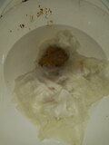 Shannon finally takes dump. a gassy sloppy smelly forced dump. Tiny silent hard. One swift plop.