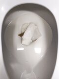 Cute nerdy looking Guy in beanie took a airy sharty dump. Hairy ass. Stand up wipe. Didn't hear any plops but here you go.