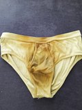 Super filthy underwear (web pics)