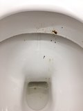 Men's work toilets
