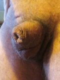 castrated and hidden cock