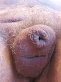 castrated and hidden cock-2