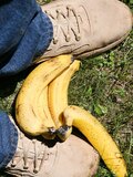 That moment when you are playing around with bananas with your boots is wildly exciting. Your crotch is tight and your breathing quickens.