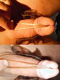 clamps bondage needles BDSM slave paul