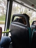 Piggysleaze On the Bus