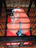 Tied prisoner in a cage