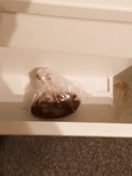 Freezing shit in a plastic bag