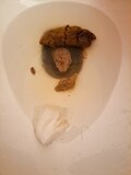 Poopies from my vids