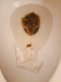 Poopies from my vids