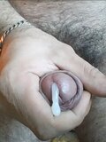 Hot Bear With Fat Uncut Cock